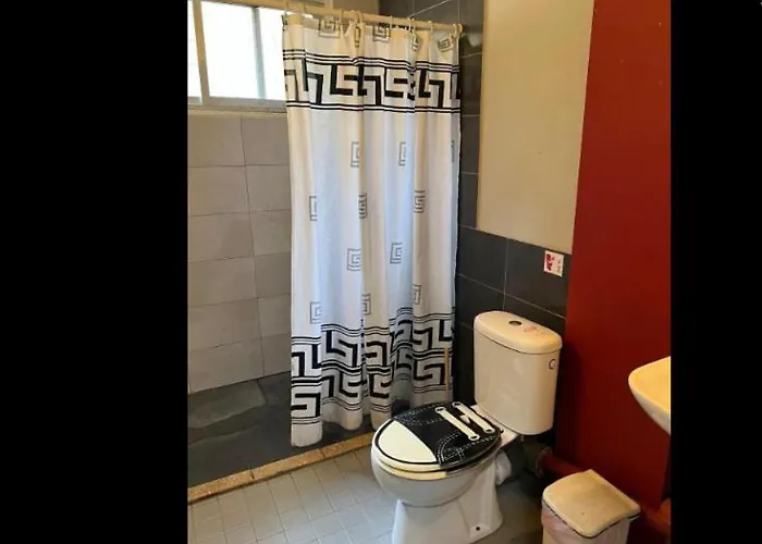 Past Or Tail Auberge de jeunesse